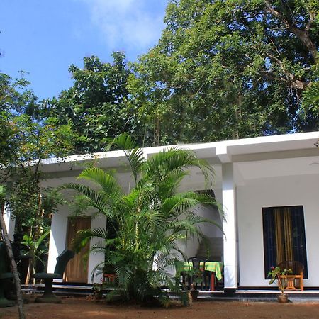 Sigiriya Mana B&B Ngoại thất bức ảnh