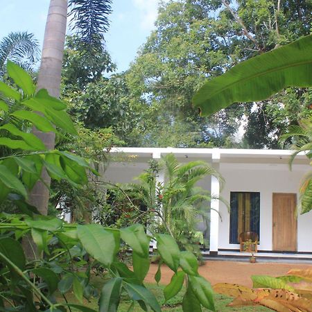 Sigiriya Mana B&B Ngoại thất bức ảnh