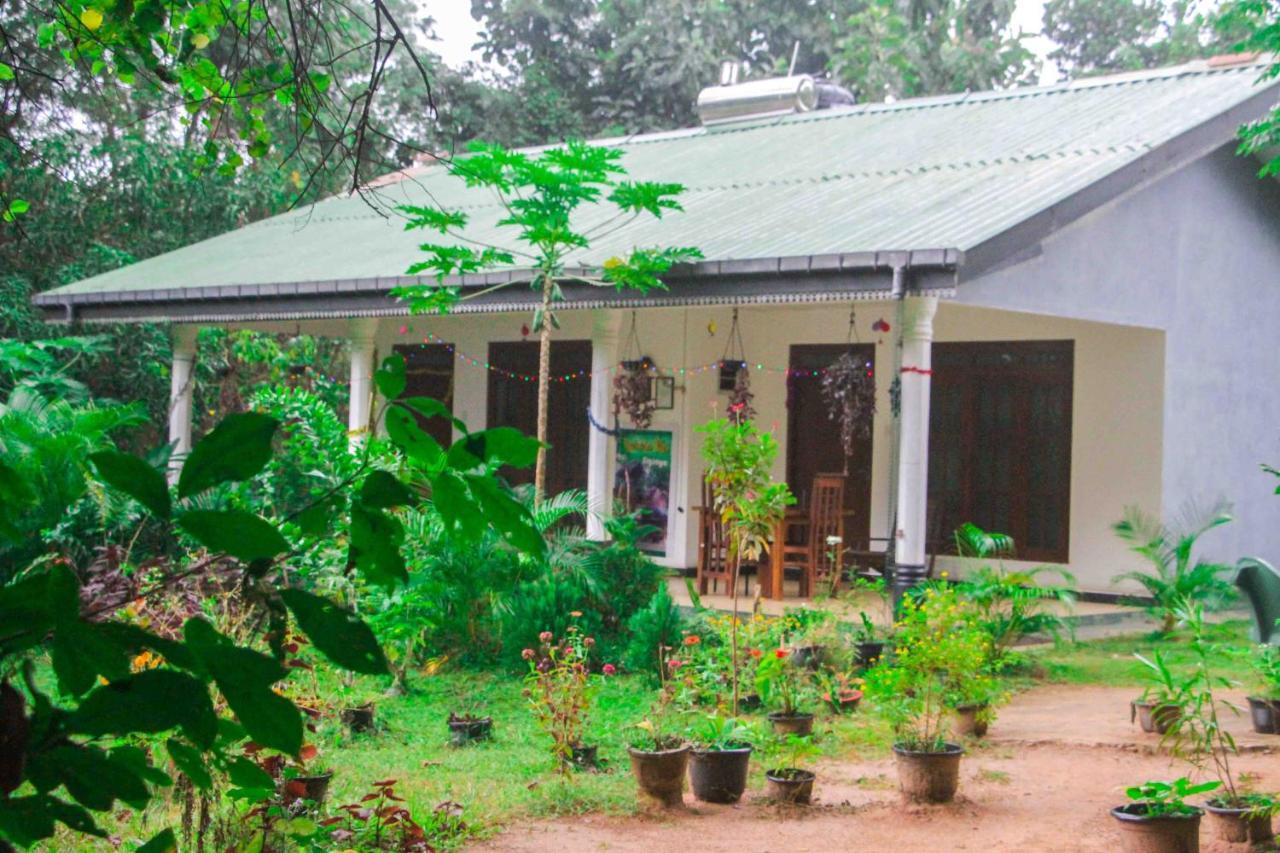 Sigiriya Mana B&B Ngoại thất bức ảnh