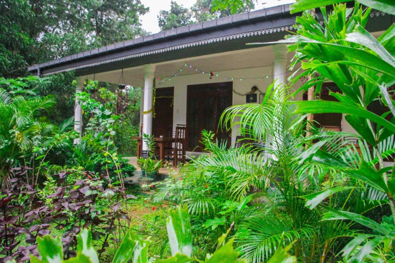 Sigiriya Mana B&B Ngoại thất bức ảnh