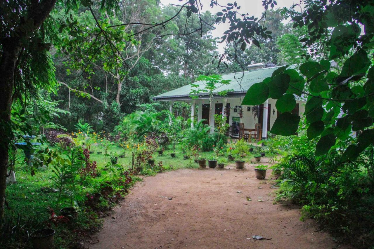 Sigiriya Mana B&B Ngoại thất bức ảnh