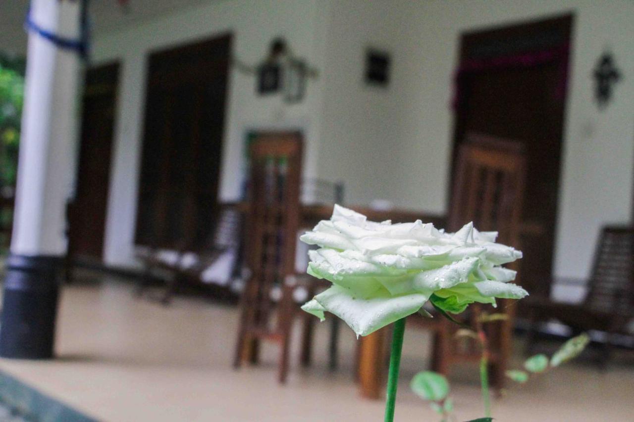 Sigiriya Mana B&B Ngoại thất bức ảnh
