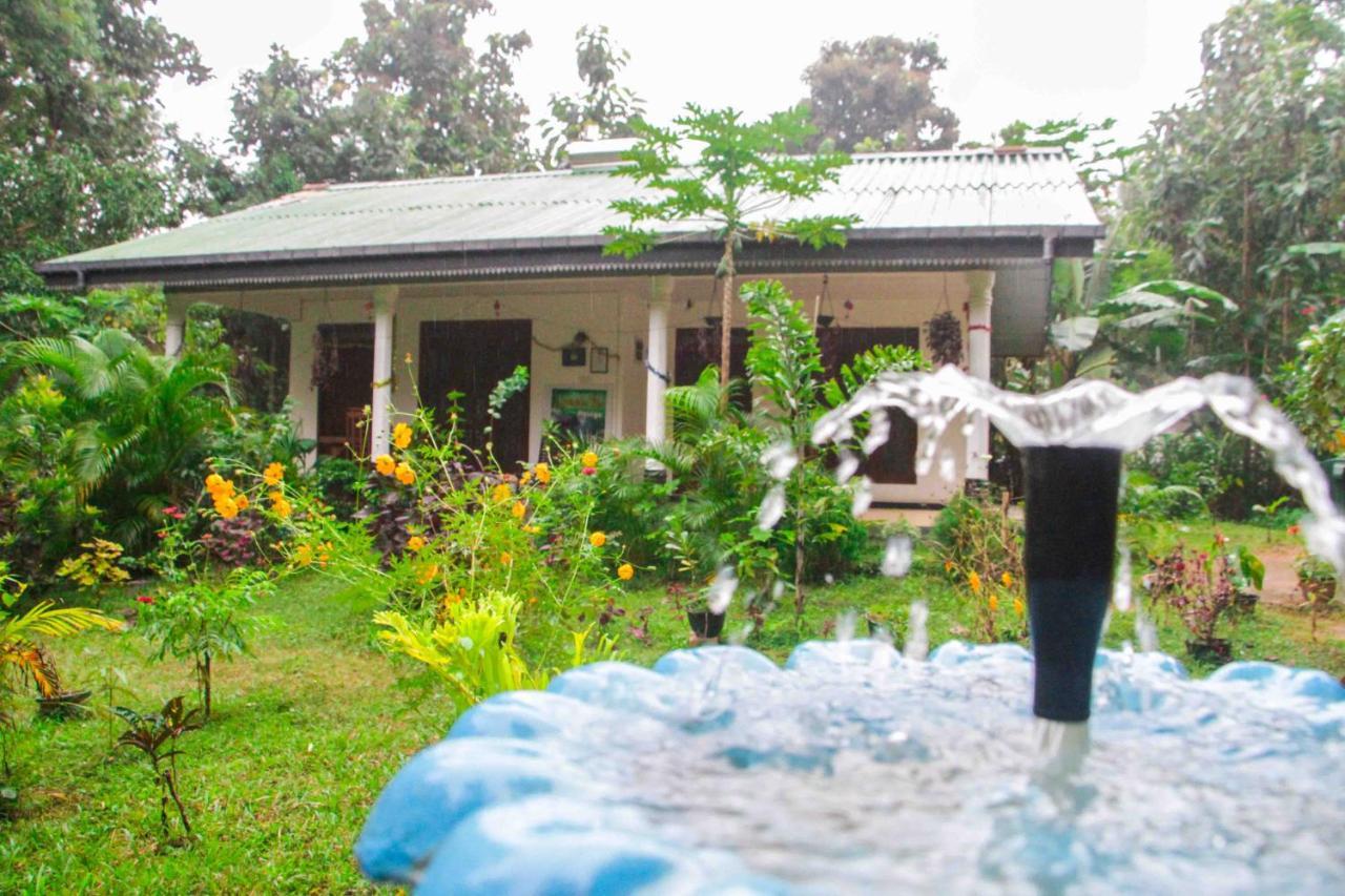 Sigiriya Mana B&B Ngoại thất bức ảnh