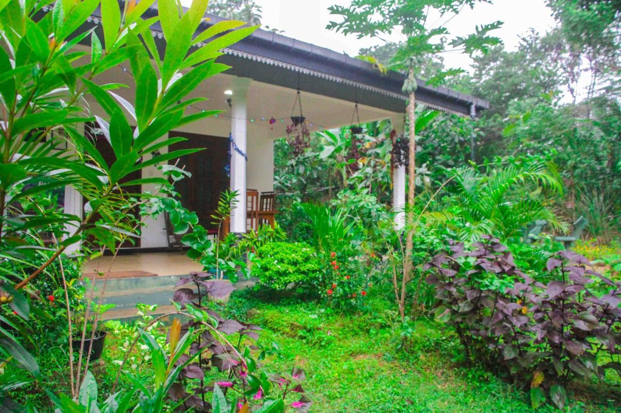 Sigiriya Mana B&B Ngoại thất bức ảnh