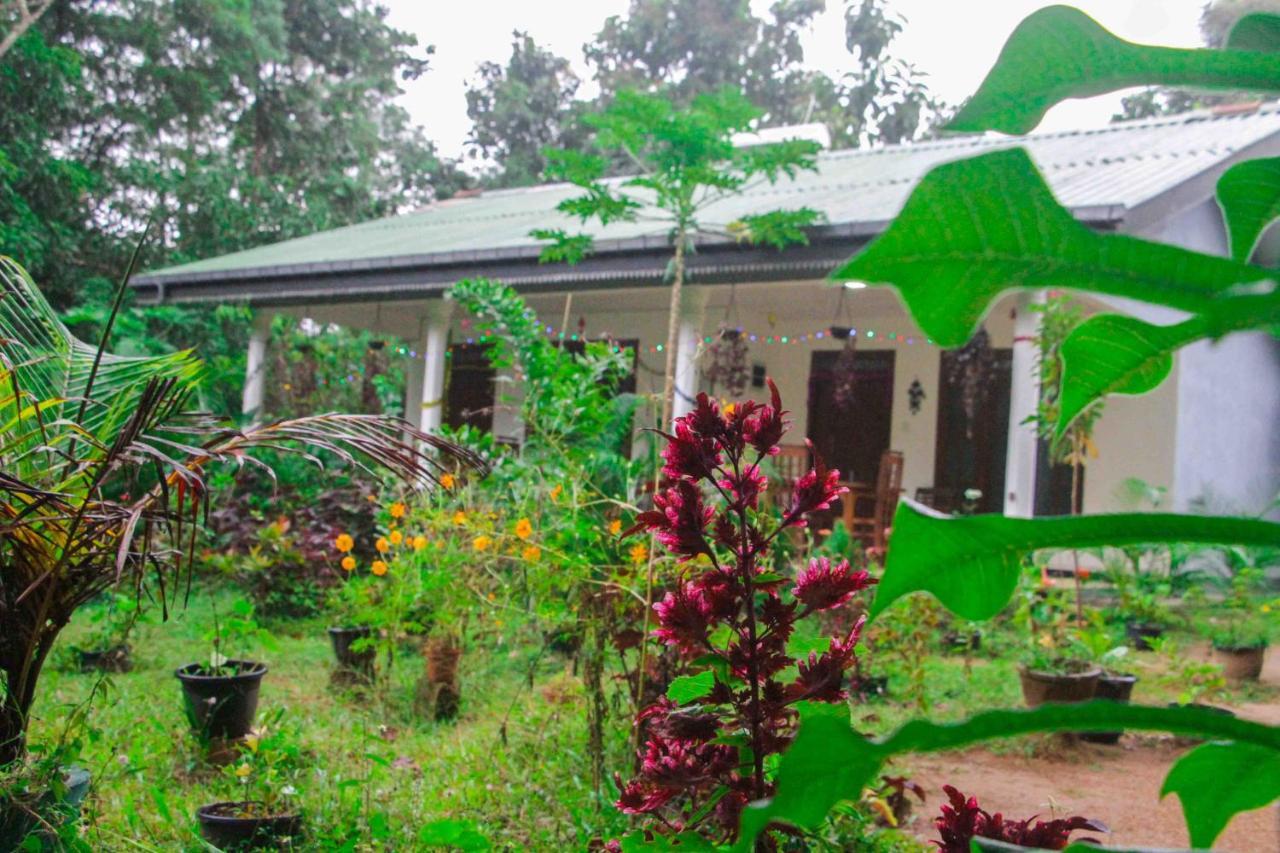 Sigiriya Mana B&B Ngoại thất bức ảnh