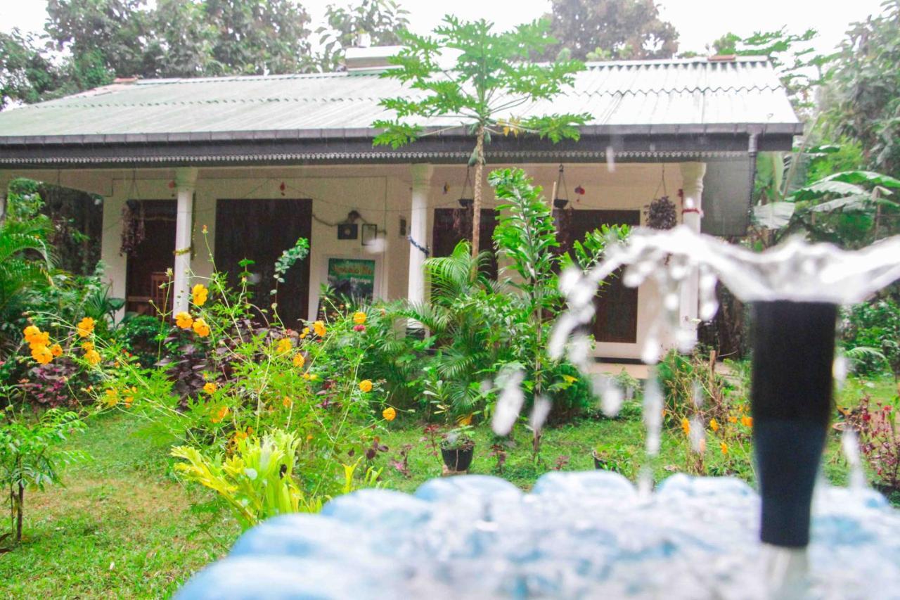 Sigiriya Mana B&B Ngoại thất bức ảnh