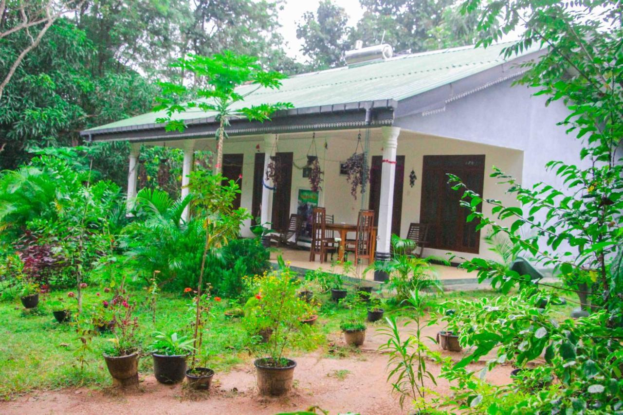Sigiriya Mana B&B Ngoại thất bức ảnh