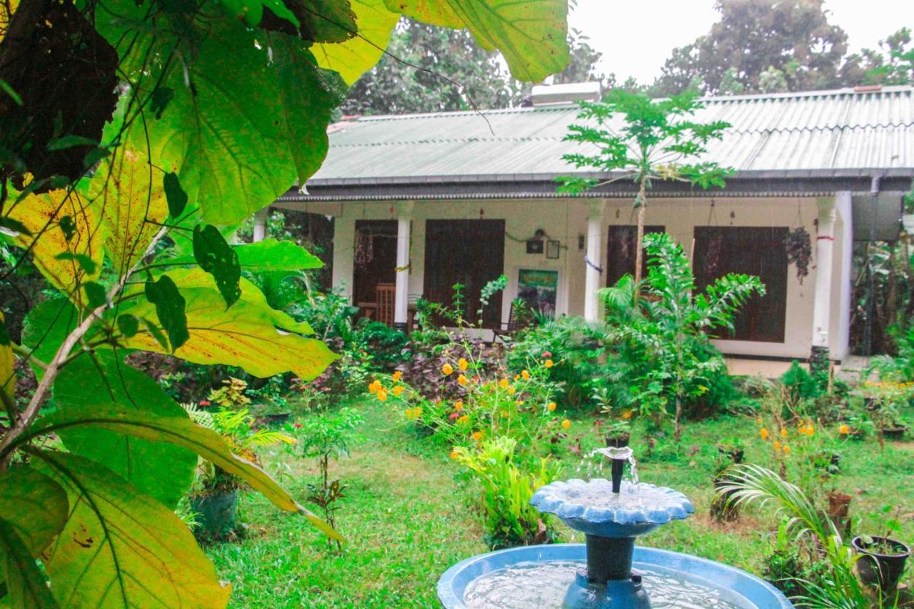 Sigiriya Mana B&B Ngoại thất bức ảnh